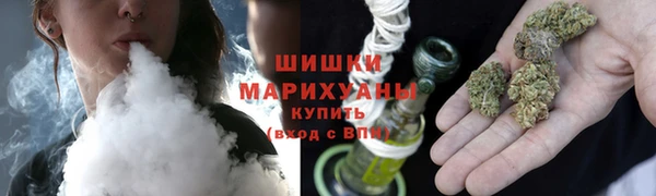 дживик Новозыбков