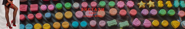 СК Новодвинск