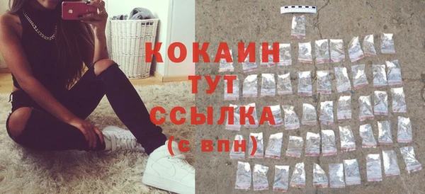 дживик Новозыбков